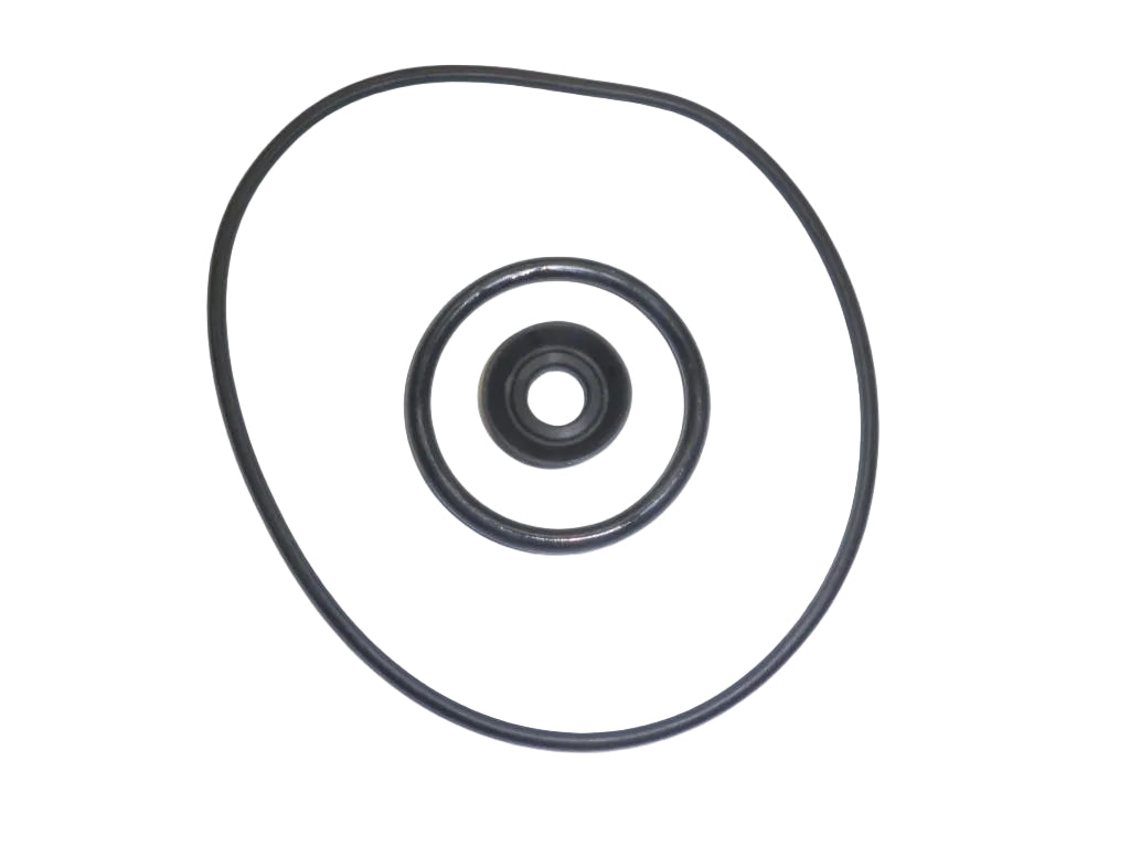 Pool Pump Internal O-Ring & Seal Set | Complete Gasket Kit