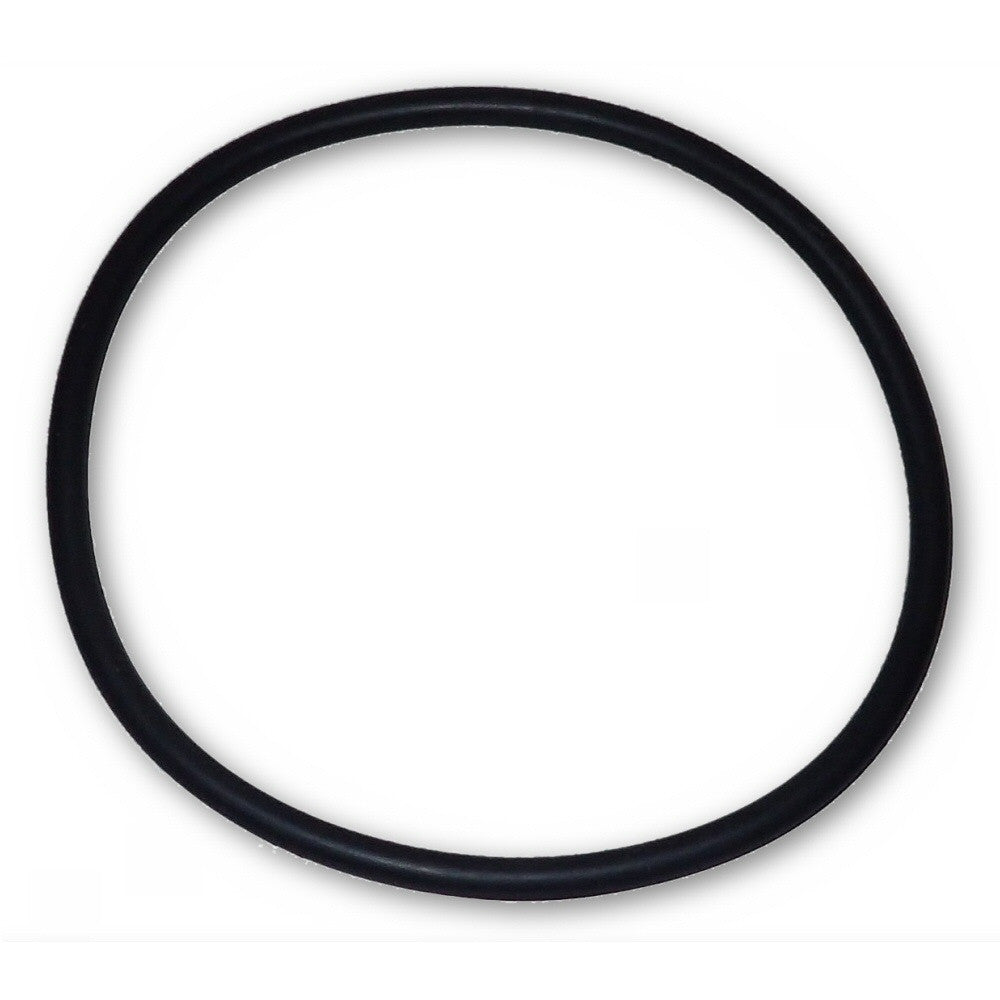 Flange O-Ring Only | Small Sand Filter | Seal Replacement