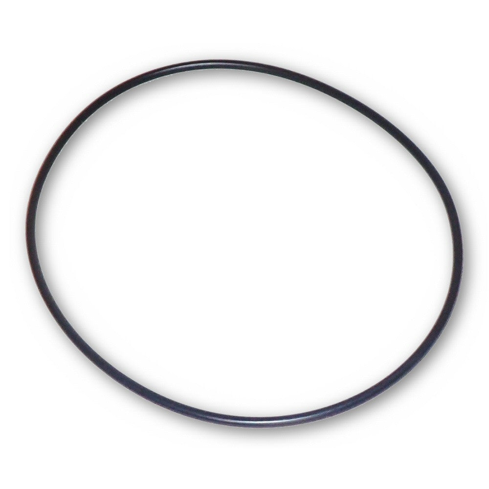 Pool Pump Large Internal O-Ring | Motor Housing Seal