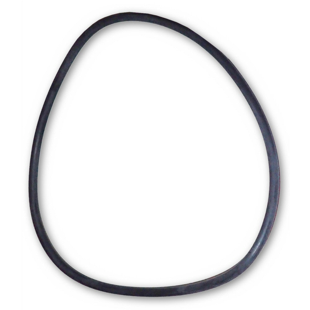 Pool Pump Strainer Cover O-Ring | Housing Lid Gasket