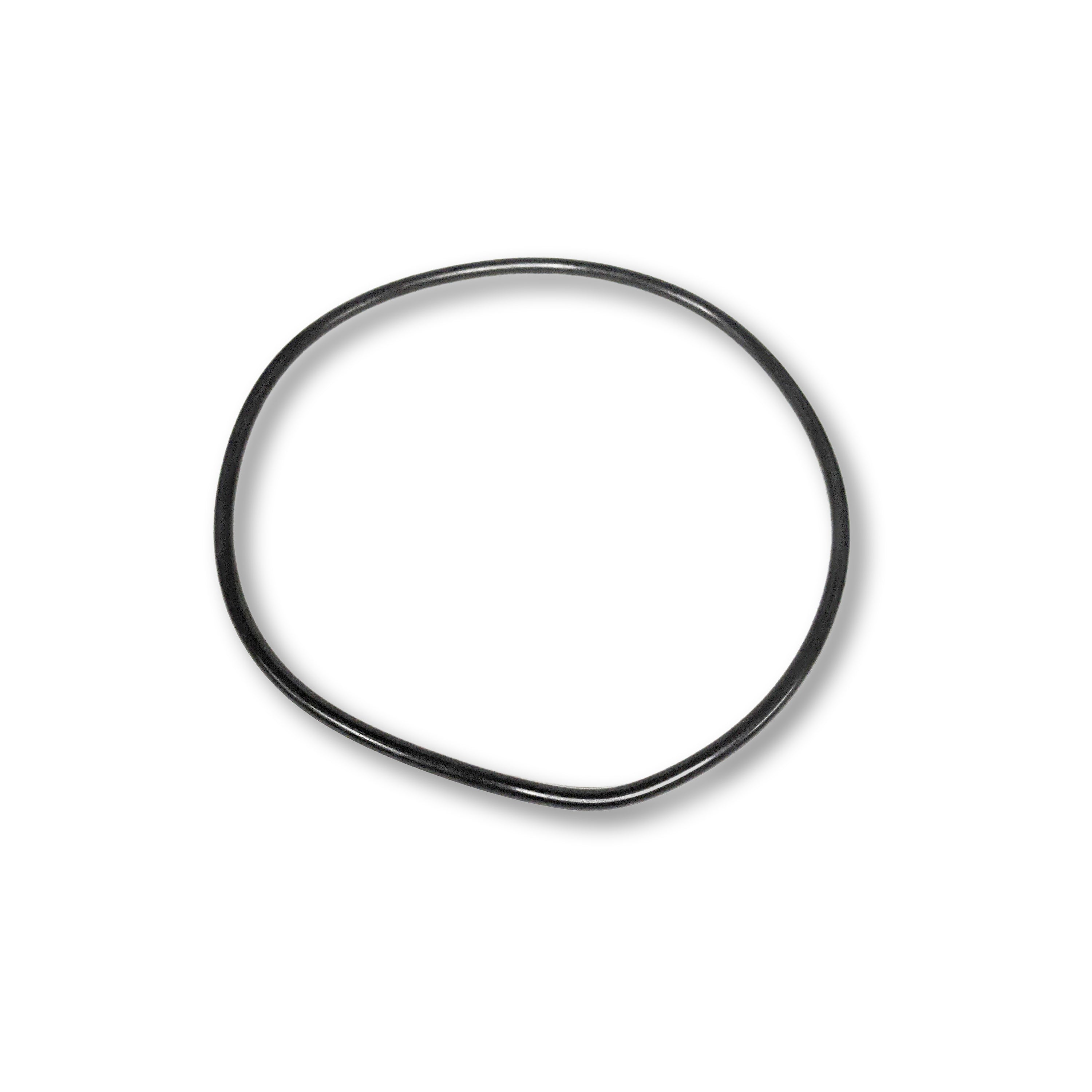 Inground Pump Large Internal O-Ring | Motor Seal