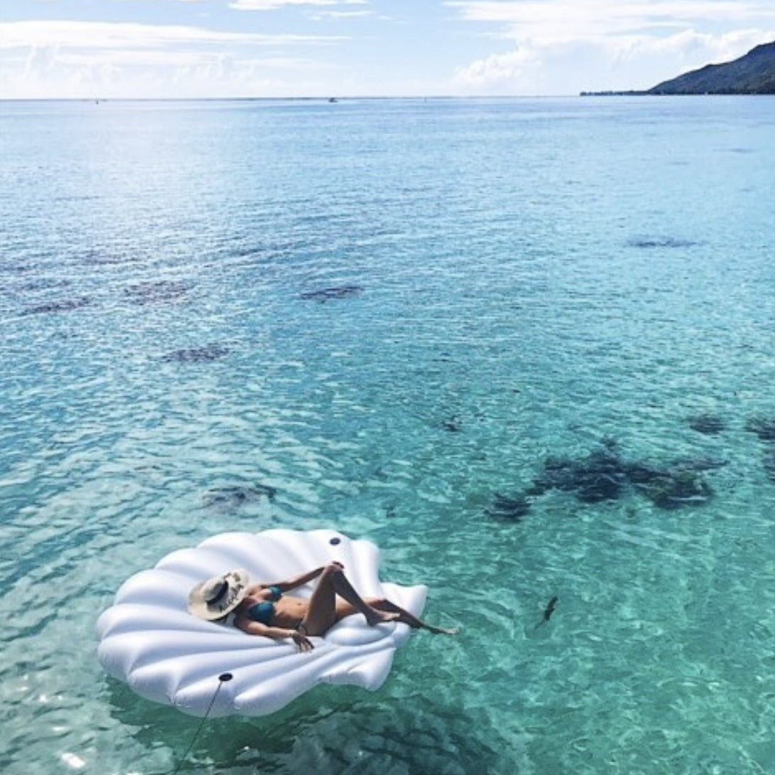 Seashell Pool Float Lounger | 81" | Pearlized White | Ocean-Inspired