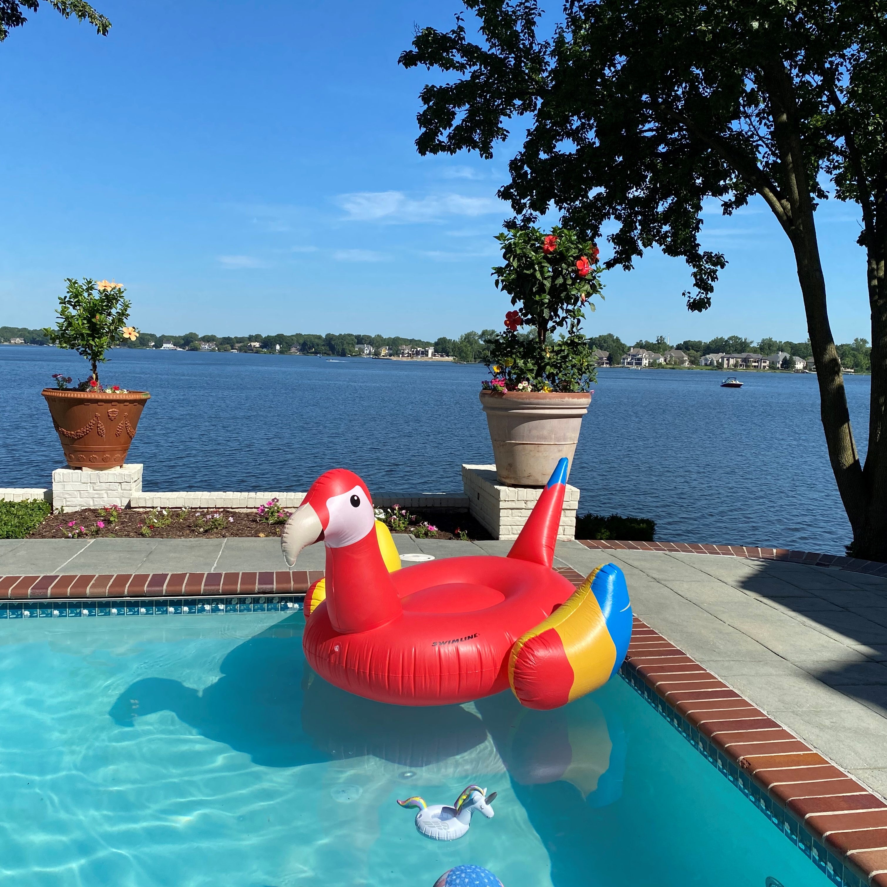 Giant Parrot Pool Float | Ride-On | 1-3 Riders | Stable Design