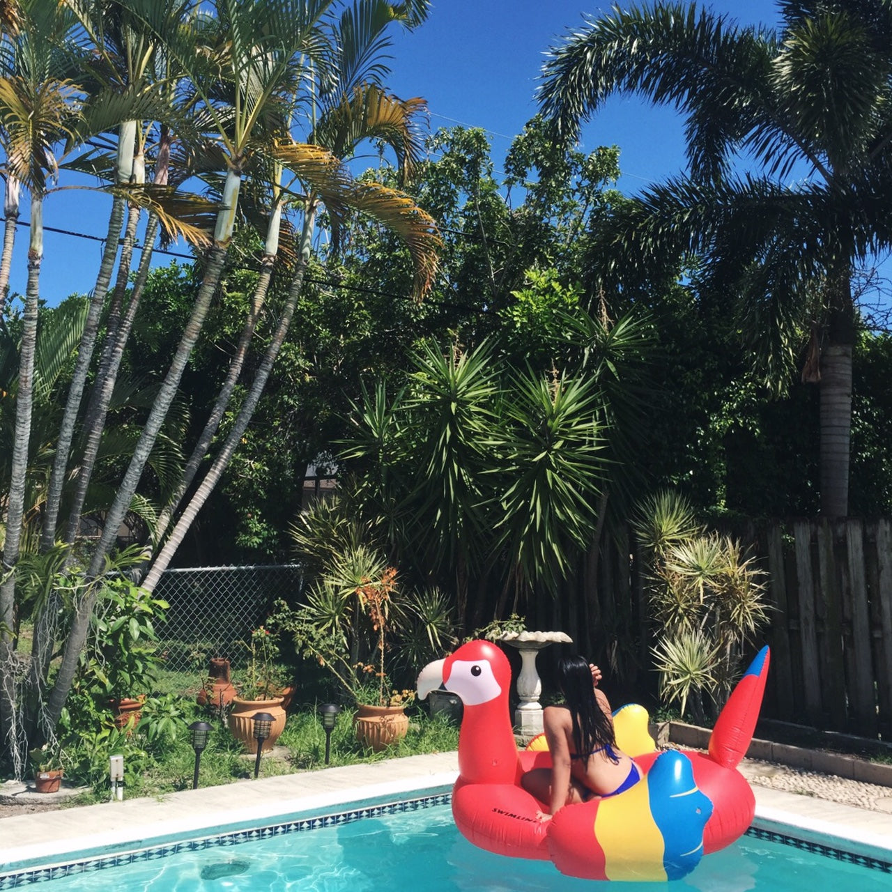 Giant Parrot Pool Float | Ride-On | 1-3 Riders | Stable Design